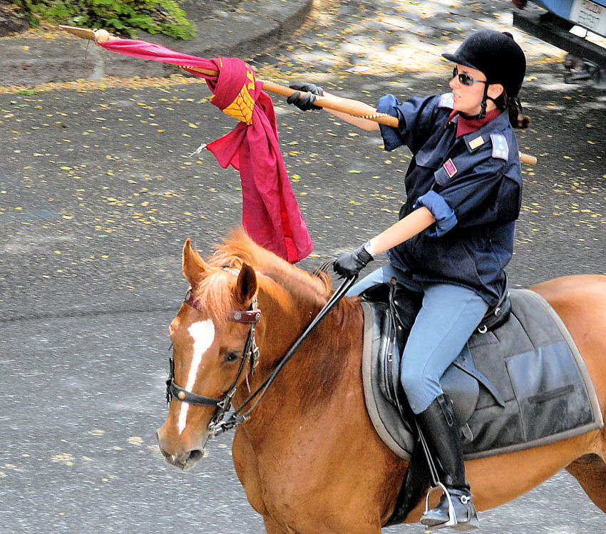 Xilocopa e ancora polizia a cavallo